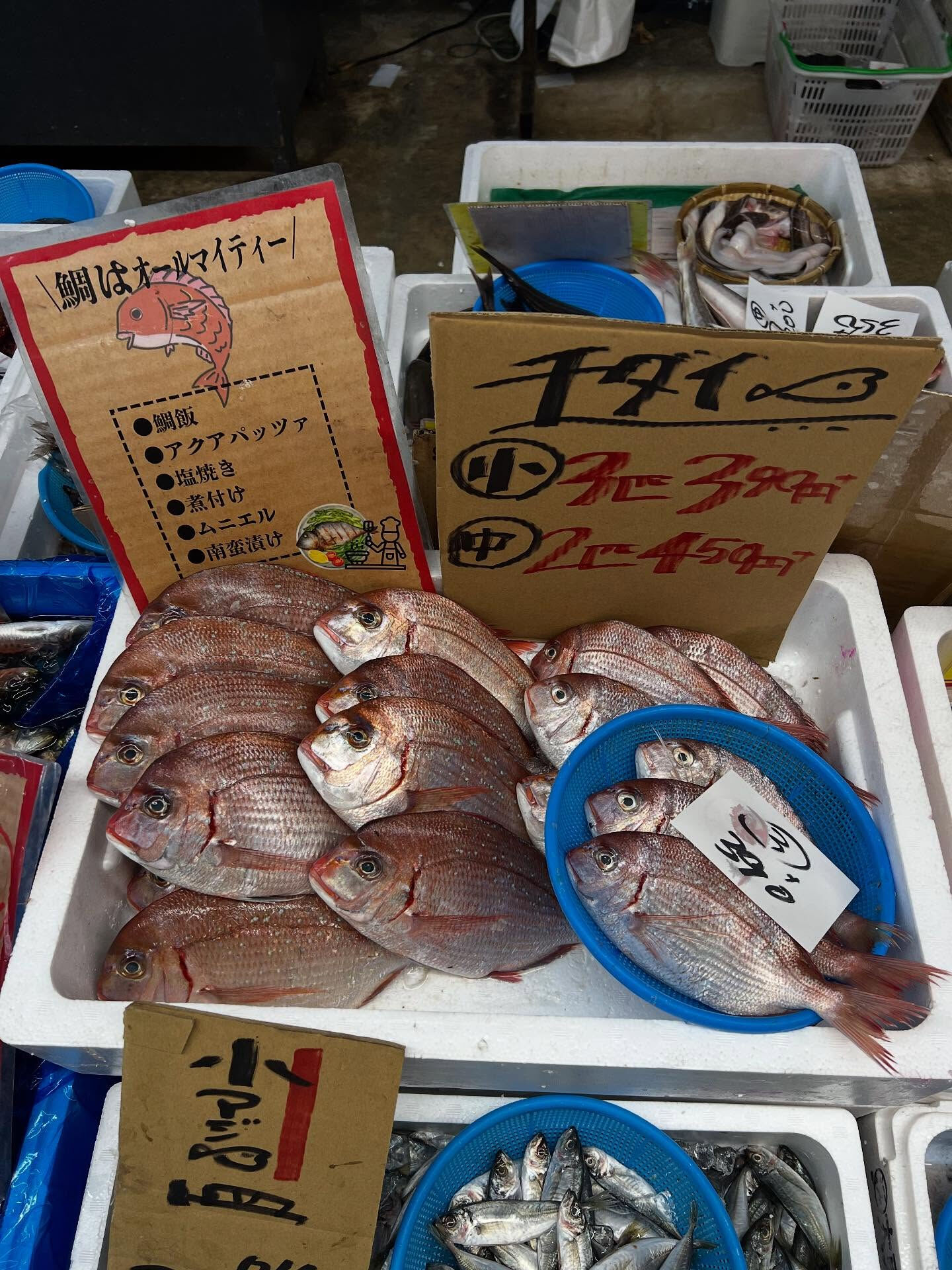 本日、日曜start🐟