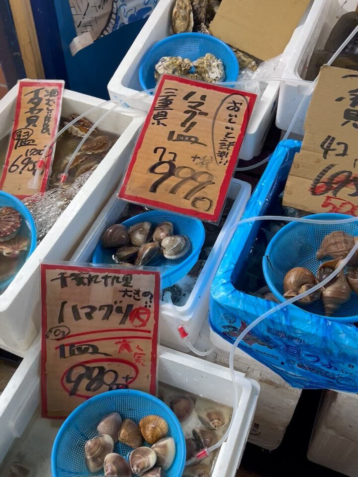 本日、日曜start🐟
