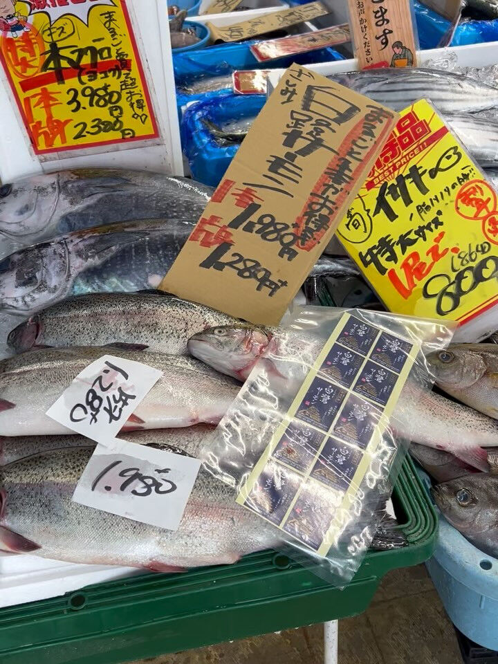 本日、日曜start🐟