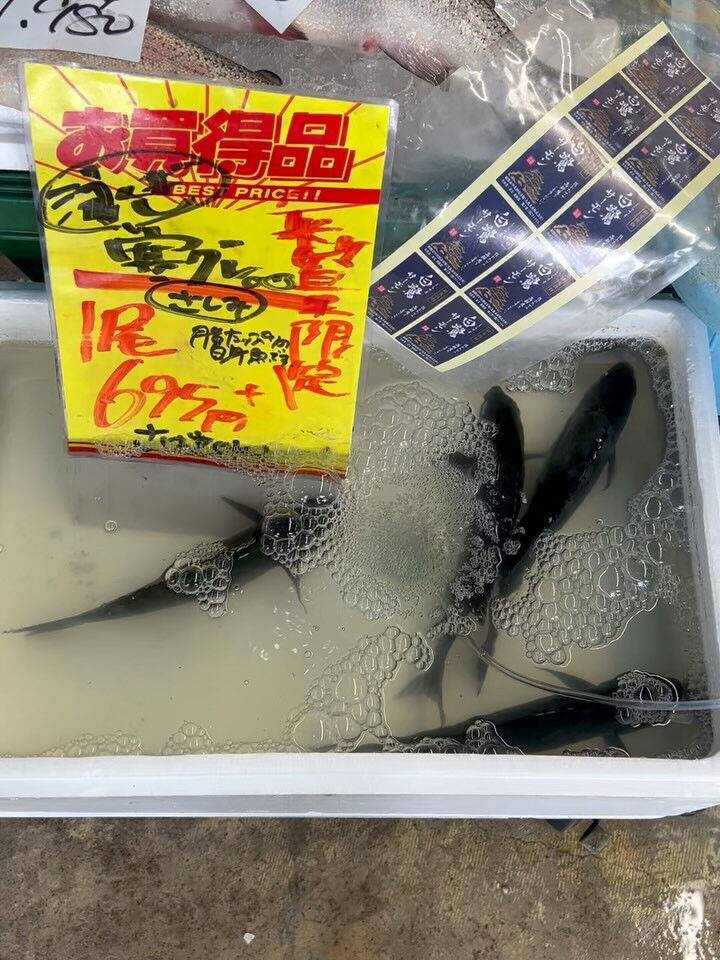 本日、日曜start🐟
