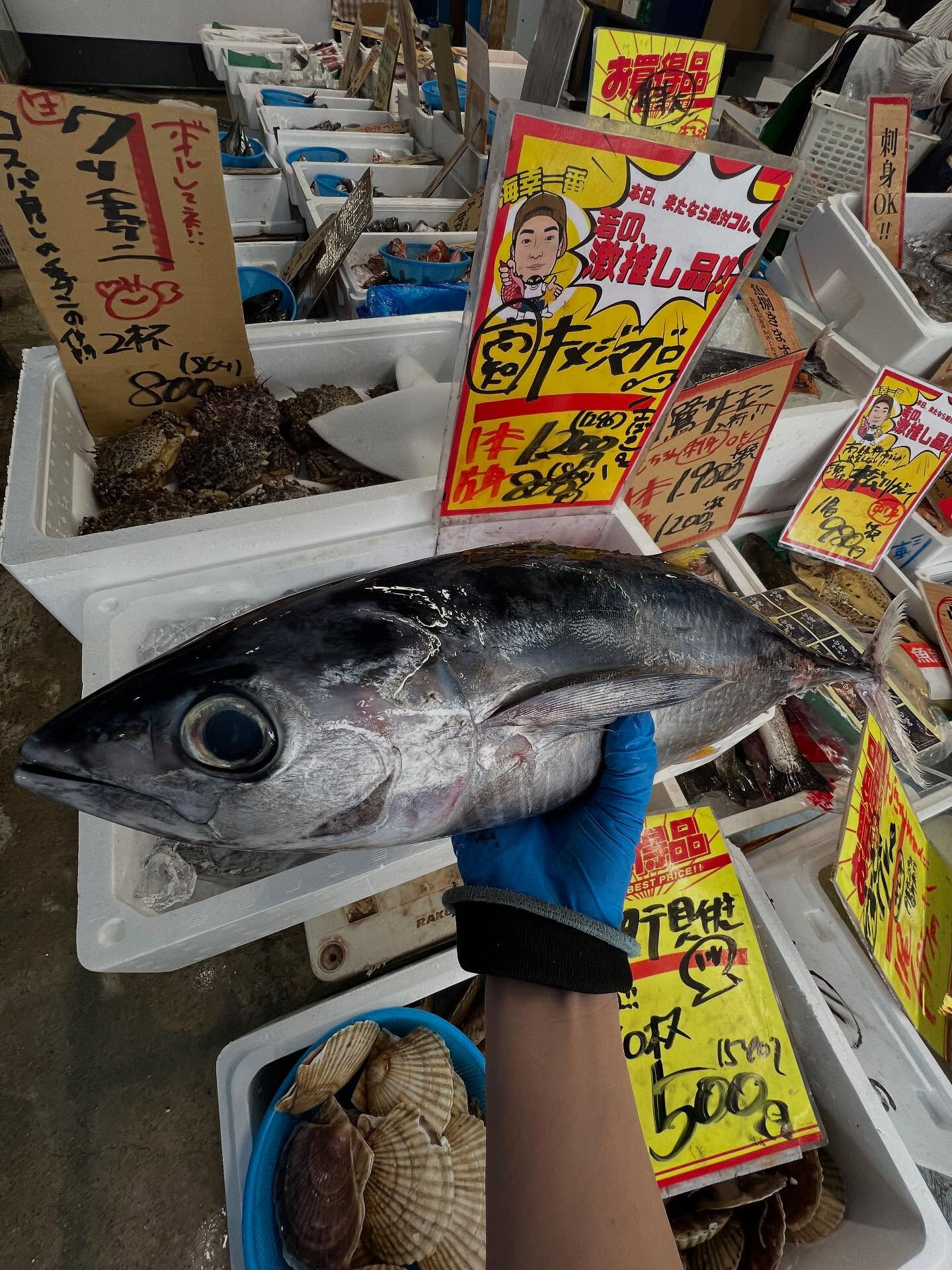 本日、月曜start🐟