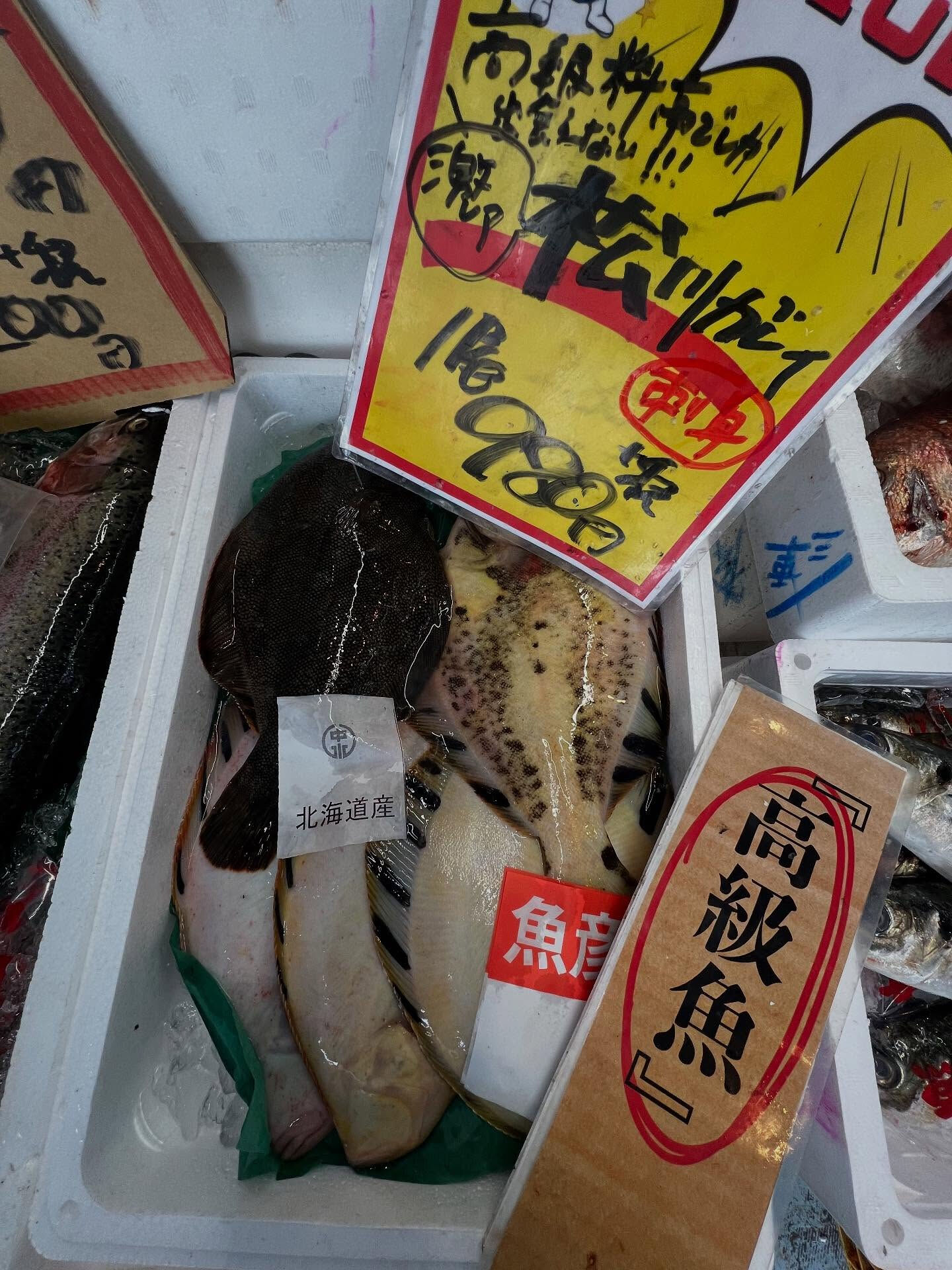 本日、月曜start🐟