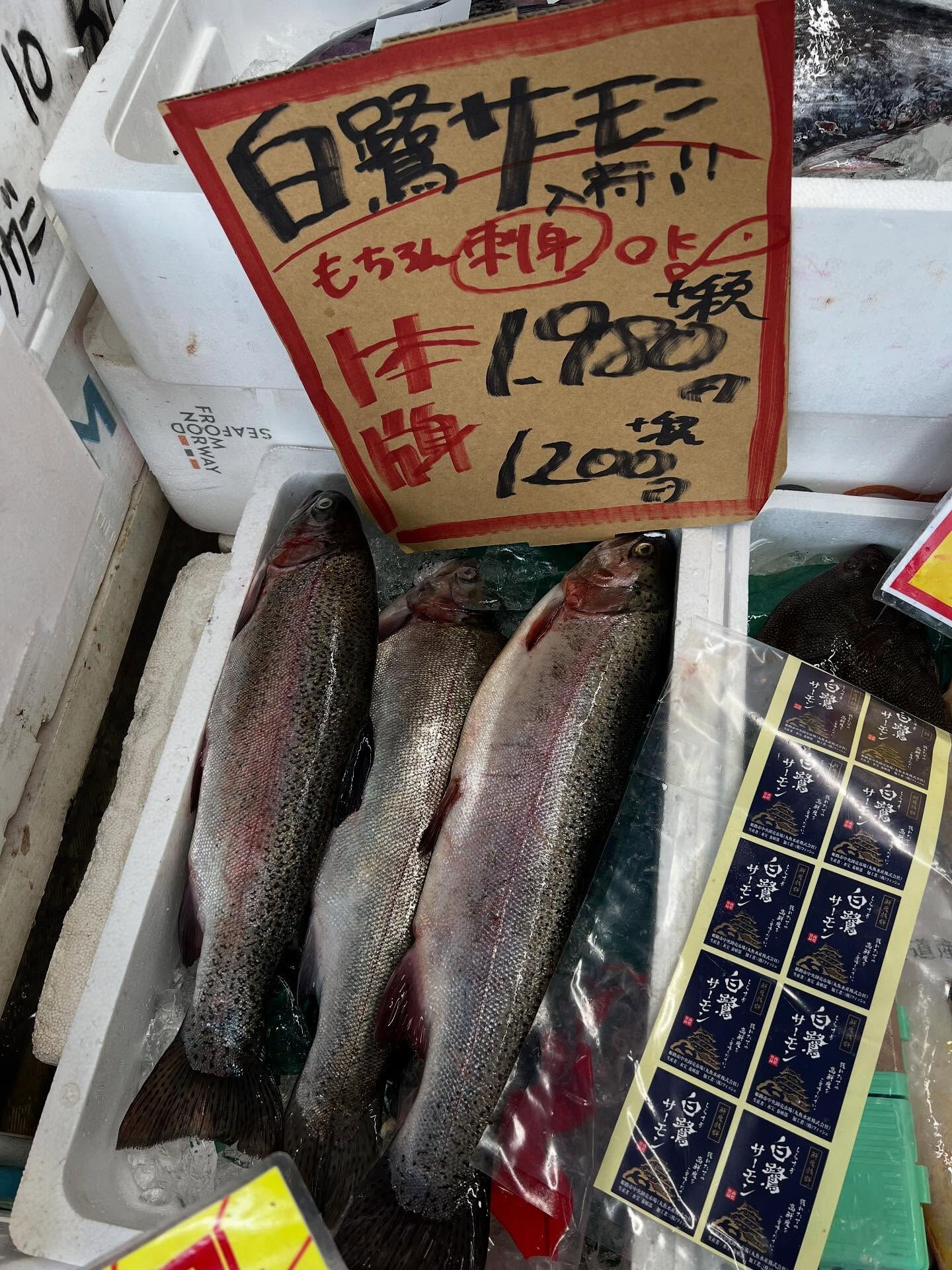 本日、月曜start🐟