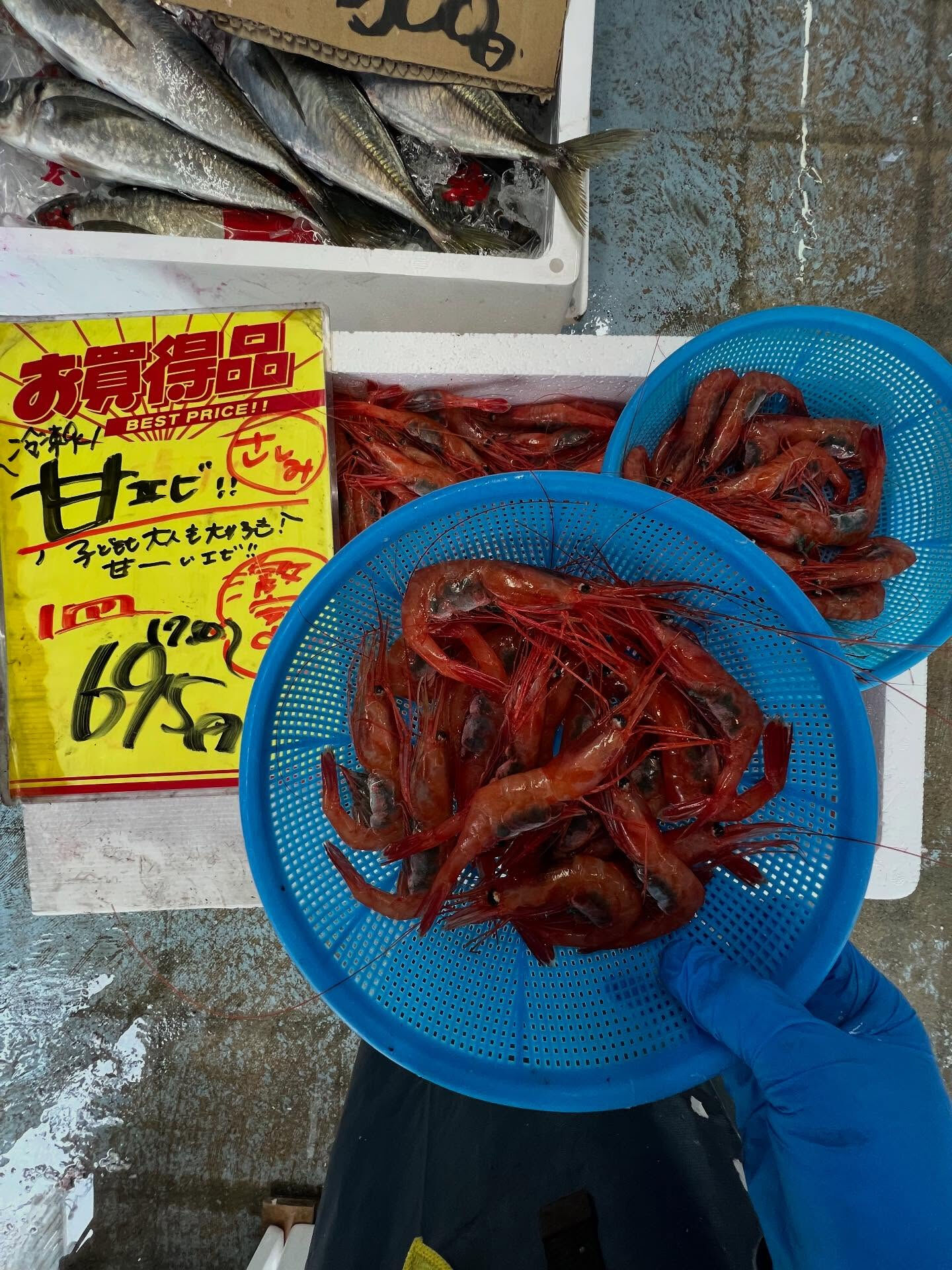 本日、月曜start🐟