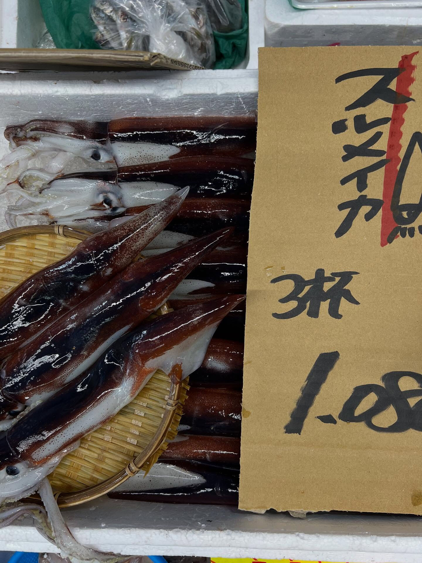 本日、月曜start🐟