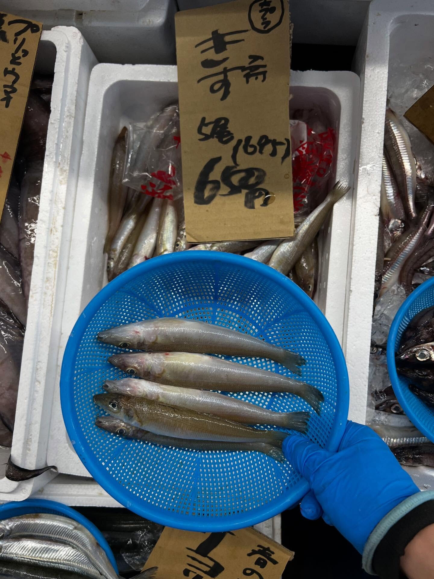 本日、月曜start🐟