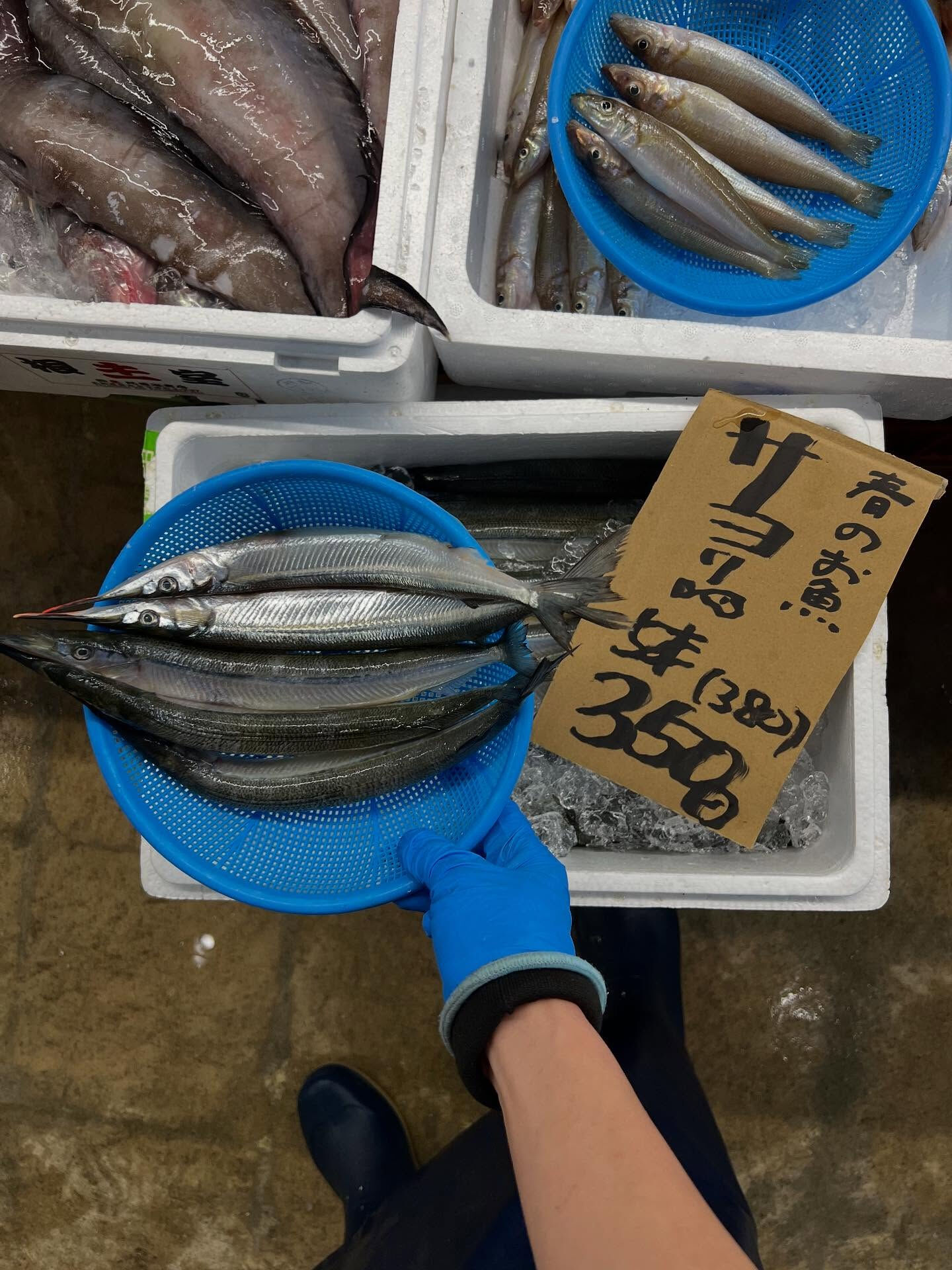 本日、月曜start🐟