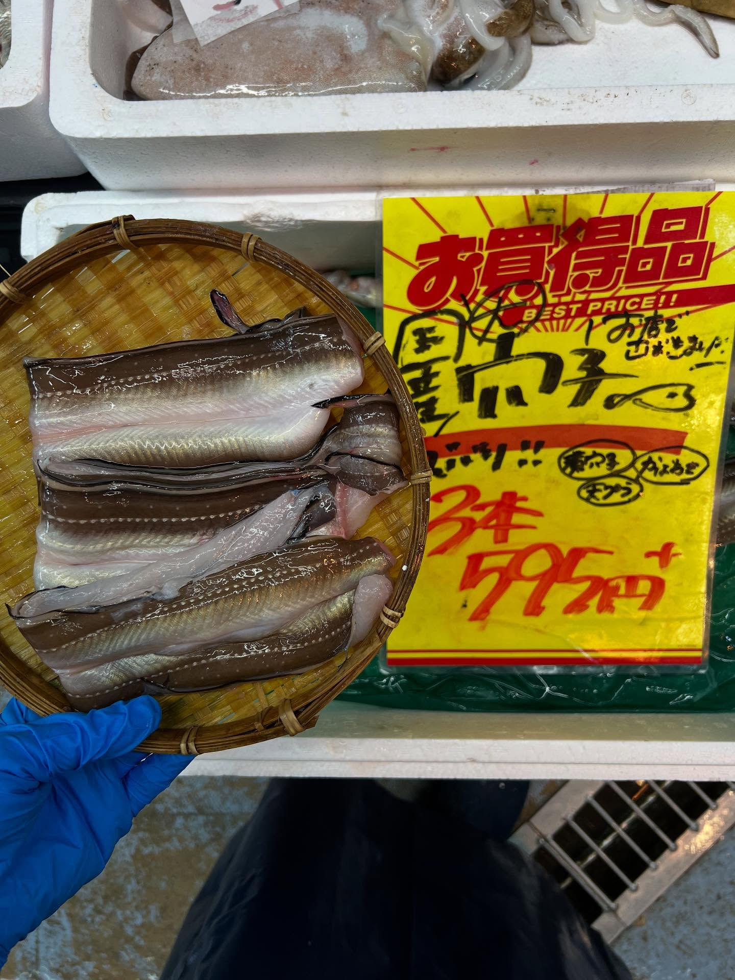 本日、月曜start🐟