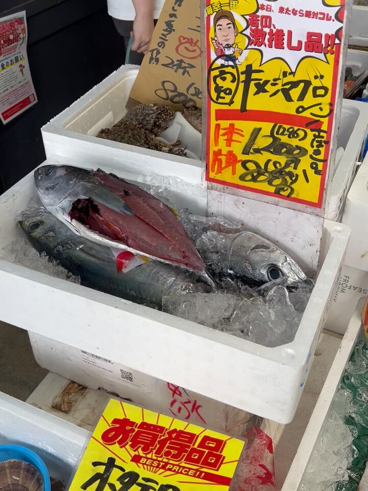 本日、月曜start🐟