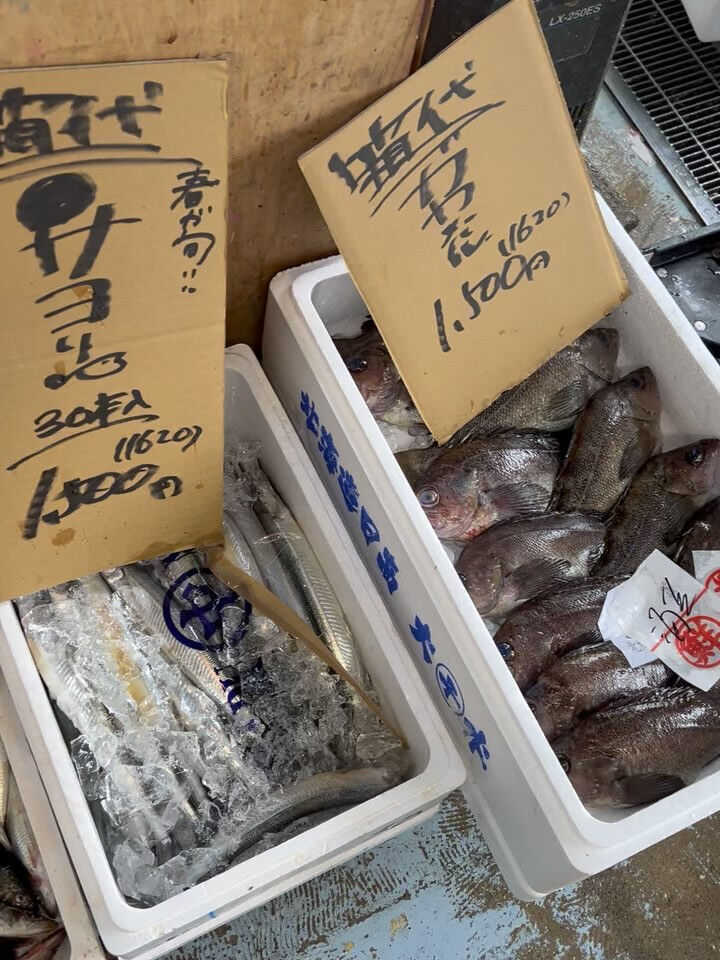 本日、月曜start🐟