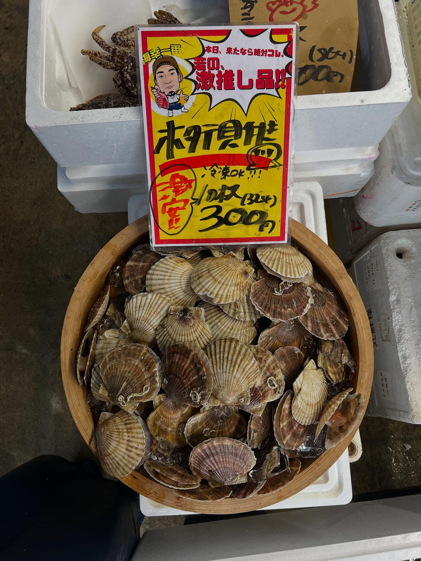 本日、火曜start🐟