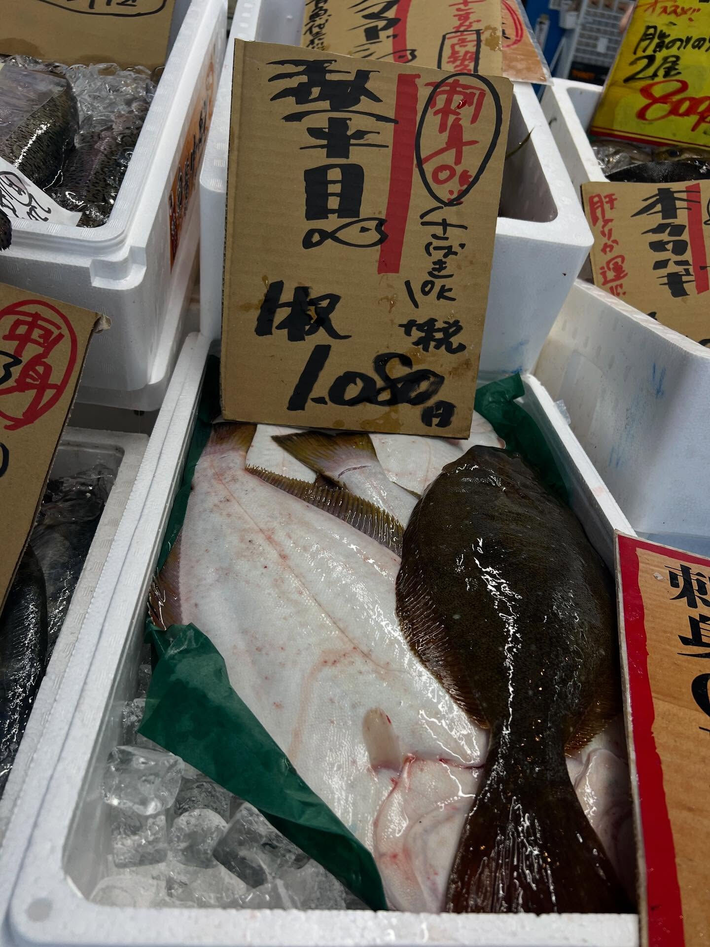 本日、火曜start🐟