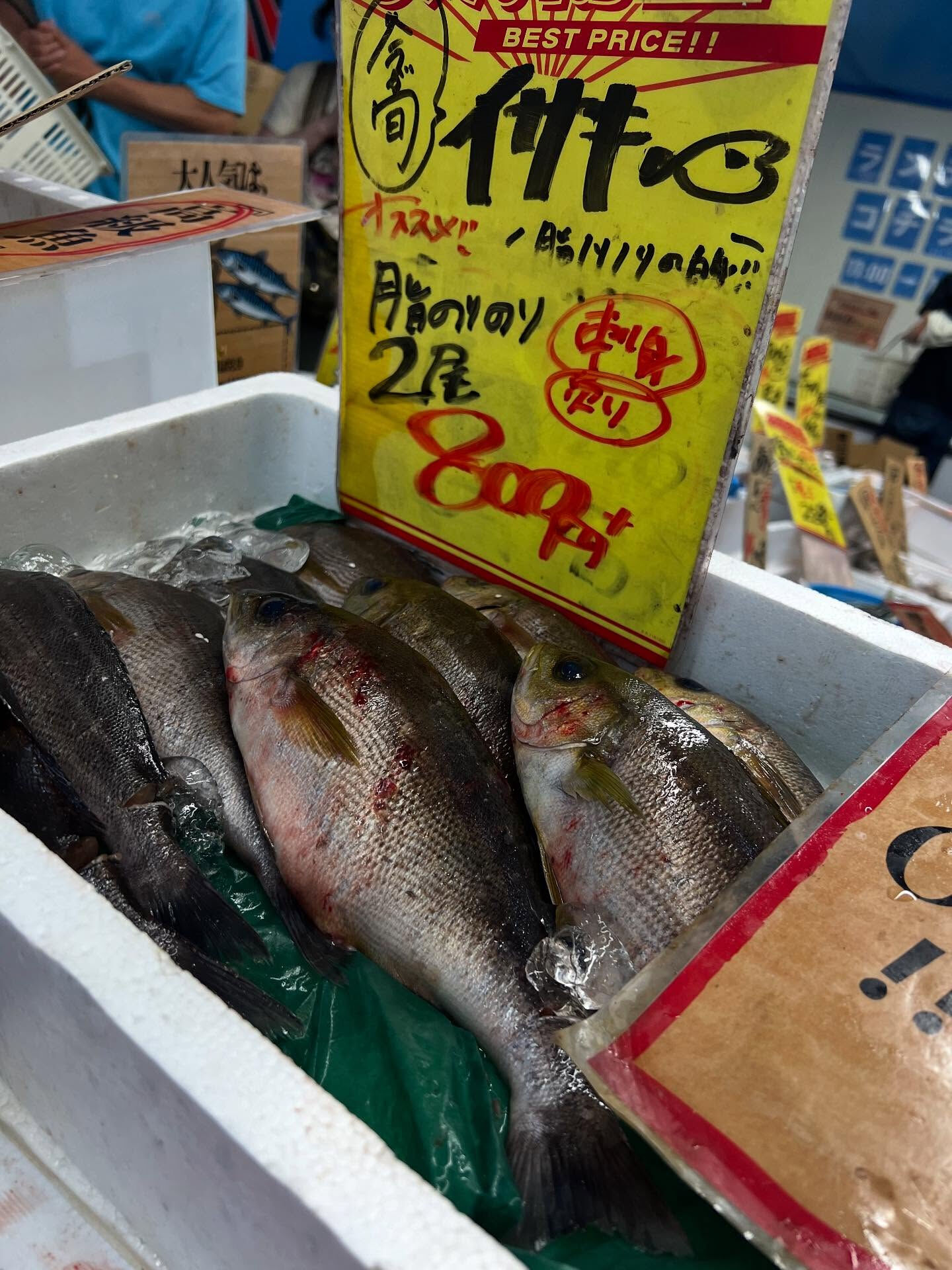 本日、火曜start🐟