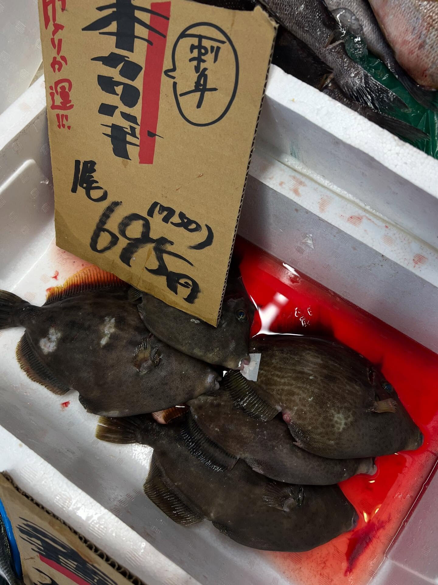 本日、火曜start🐟