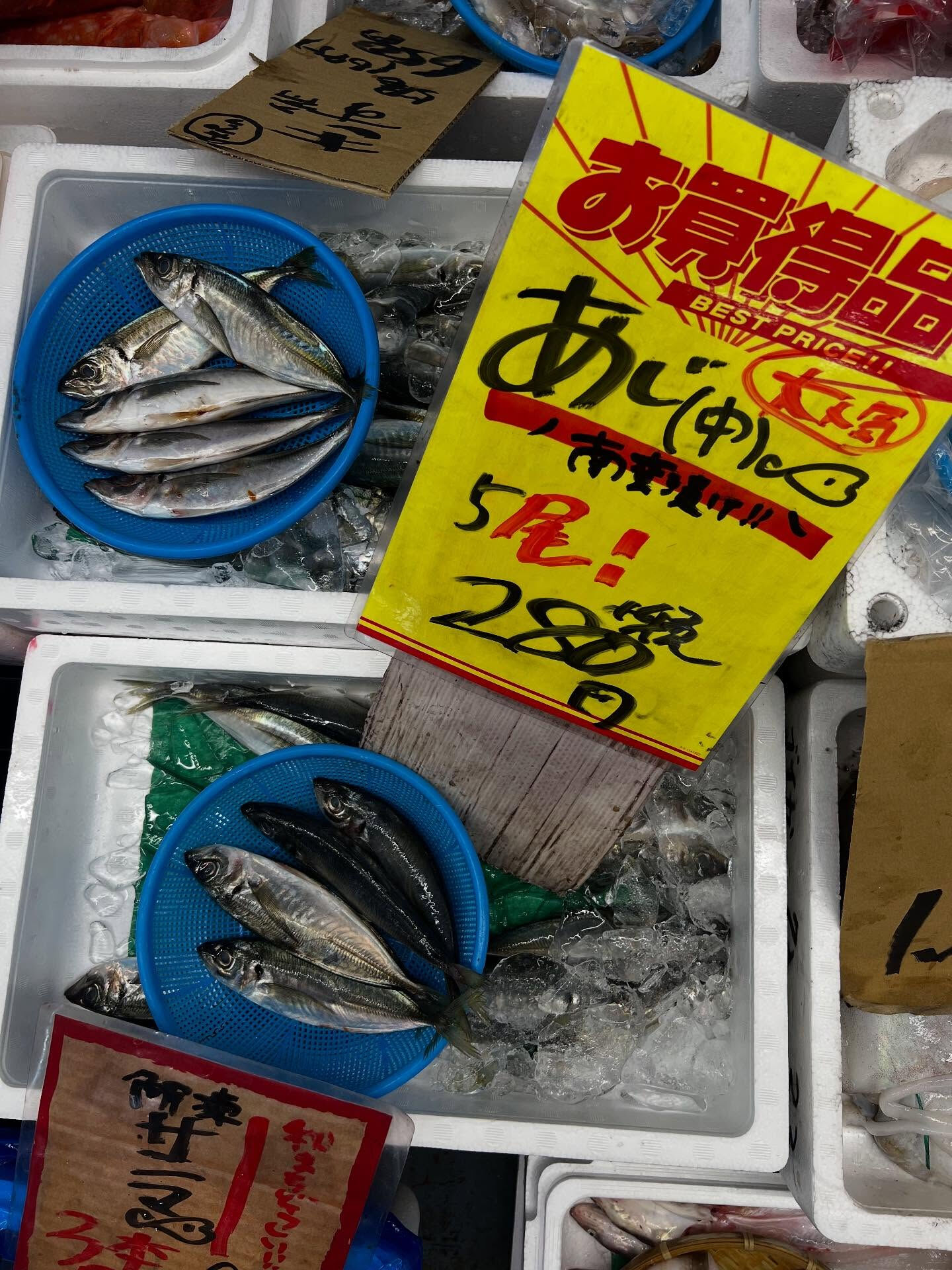 本日、火曜start🐟