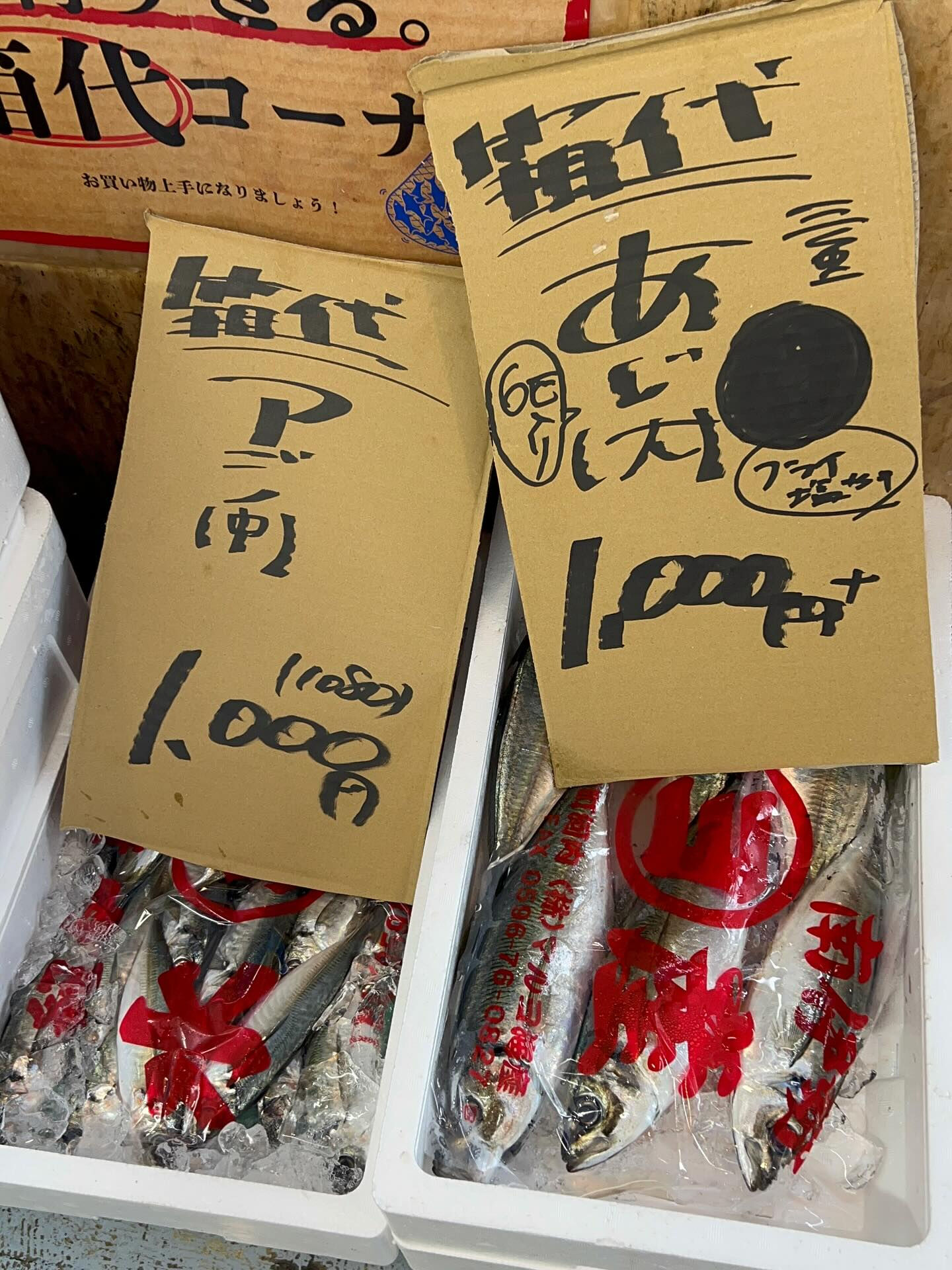 本日、火曜start🐟
