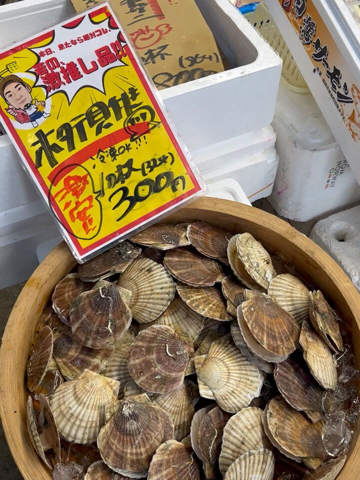 本日、火曜start🐟