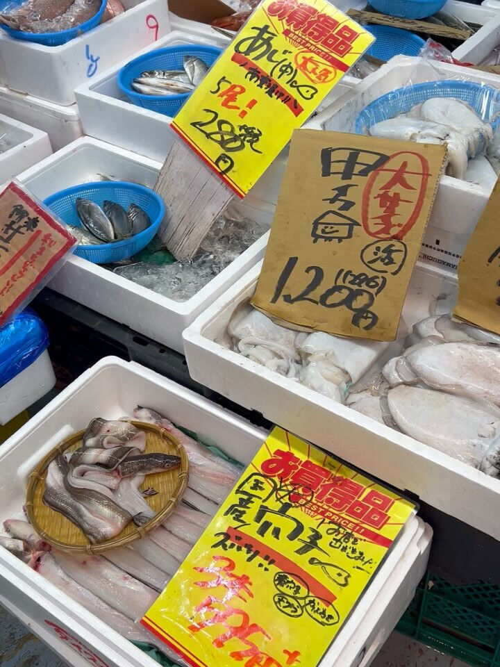 本日、火曜start🐟