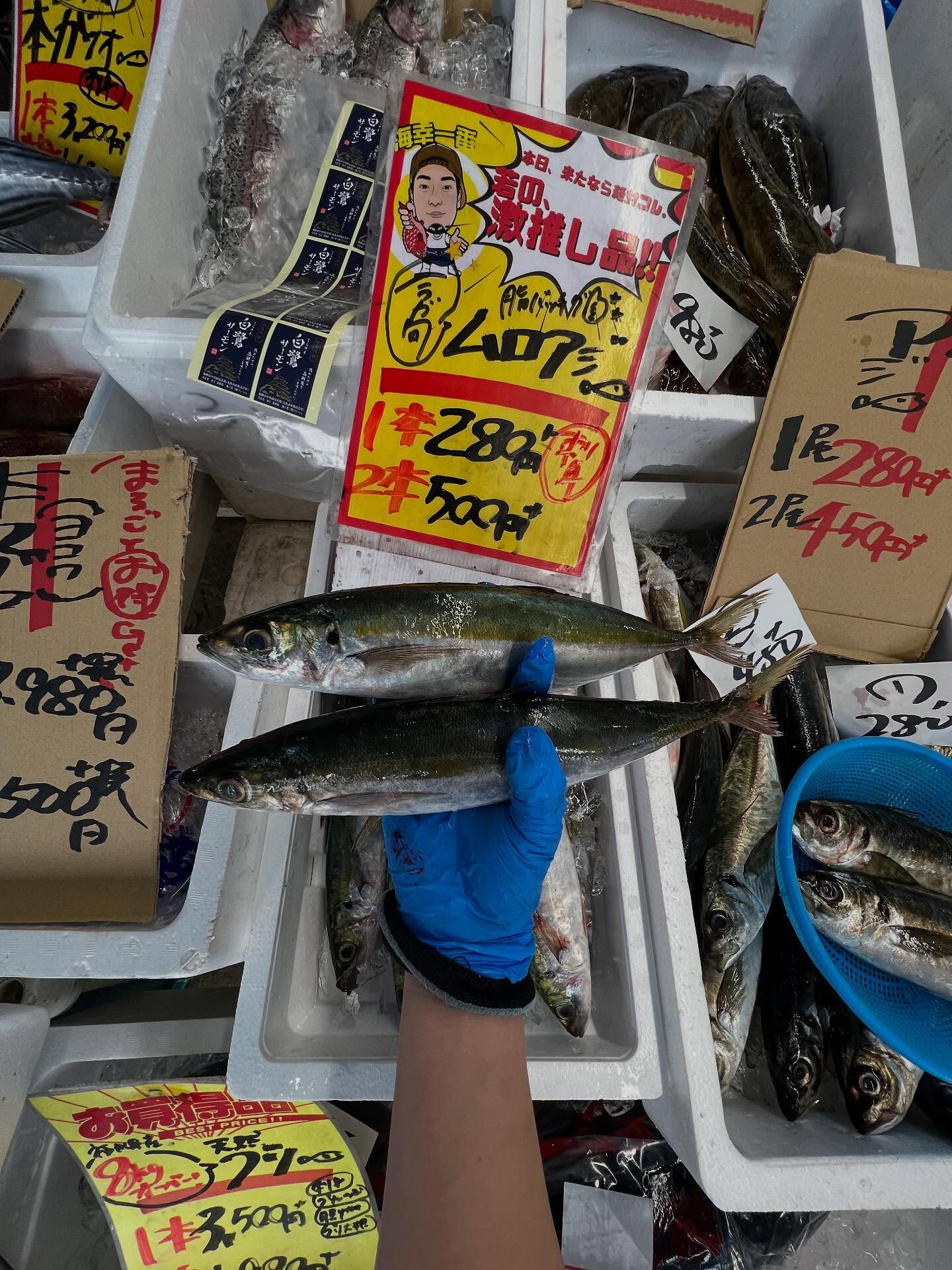 本日、木曜start🐟