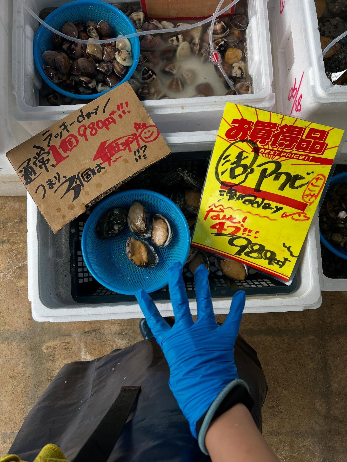 本日、木曜start🐟