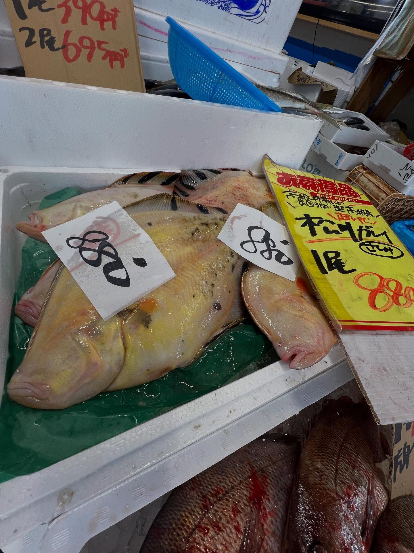 本日、木曜start🐟