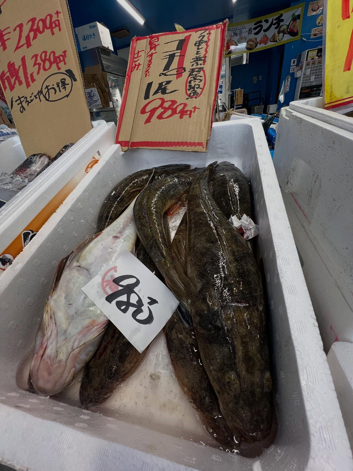 本日、木曜start🐟