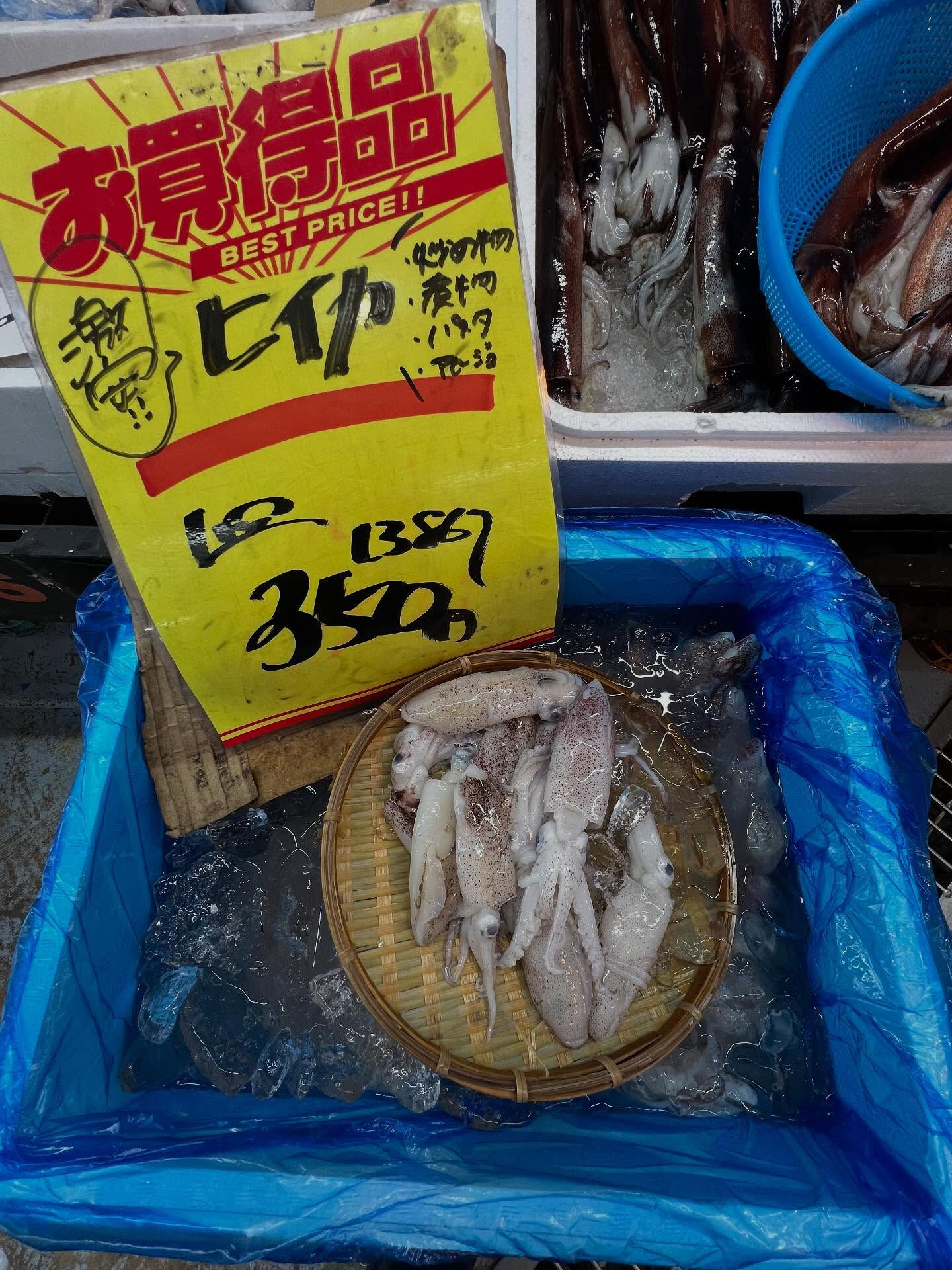 本日、木曜start🐟