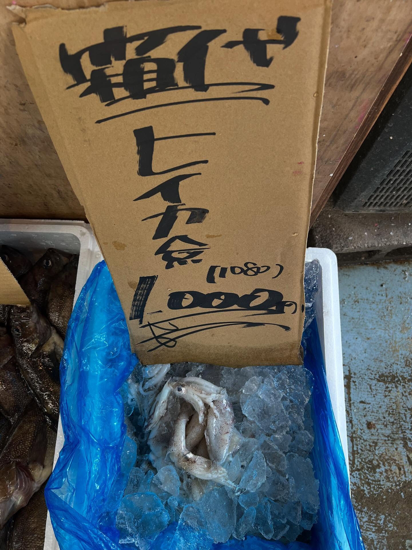 本日、木曜start🐟
