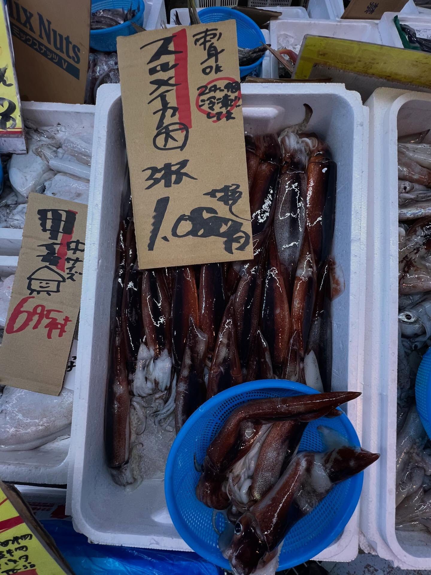 本日、木曜start🐟