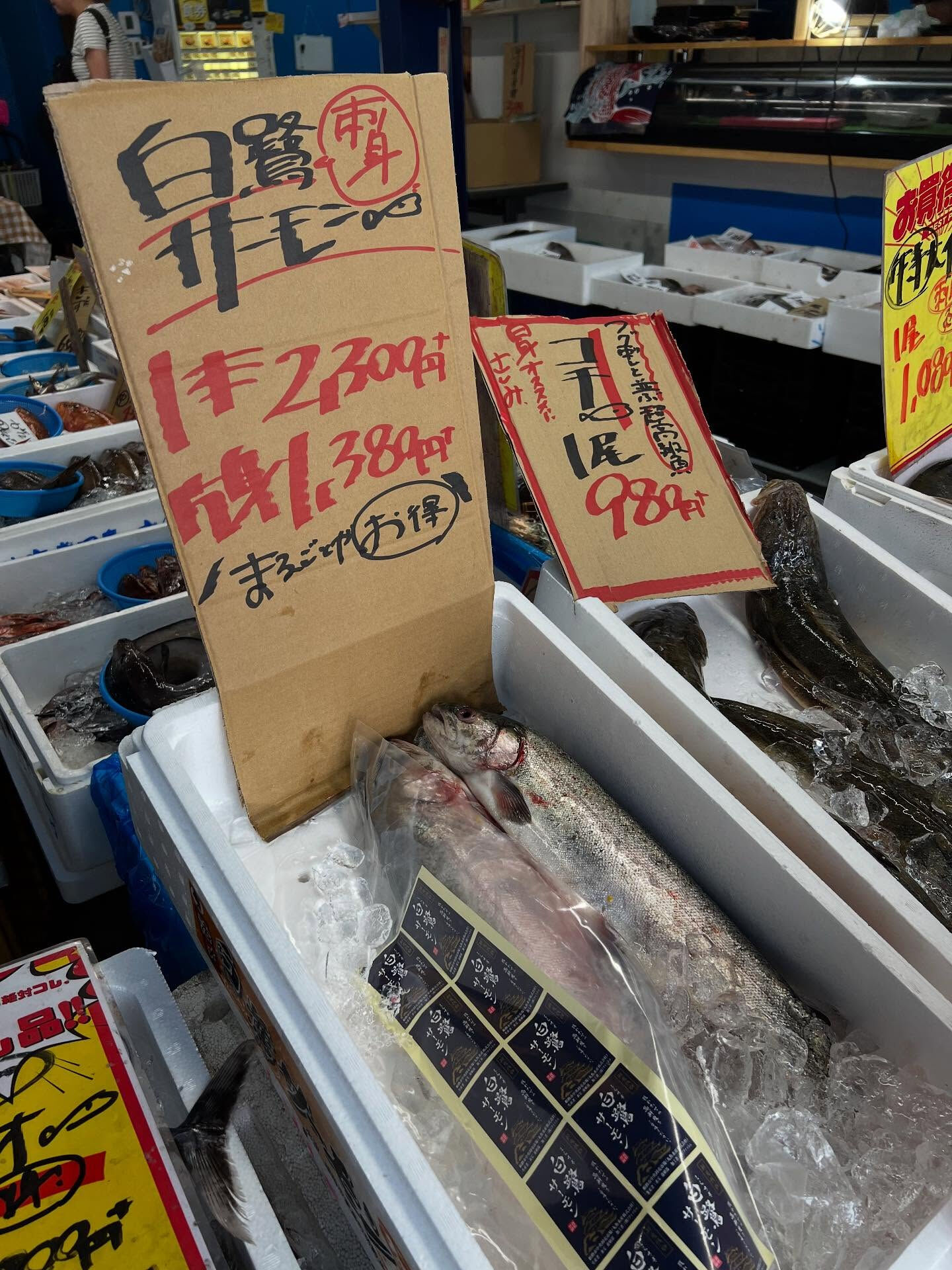 本日、木曜start🐟