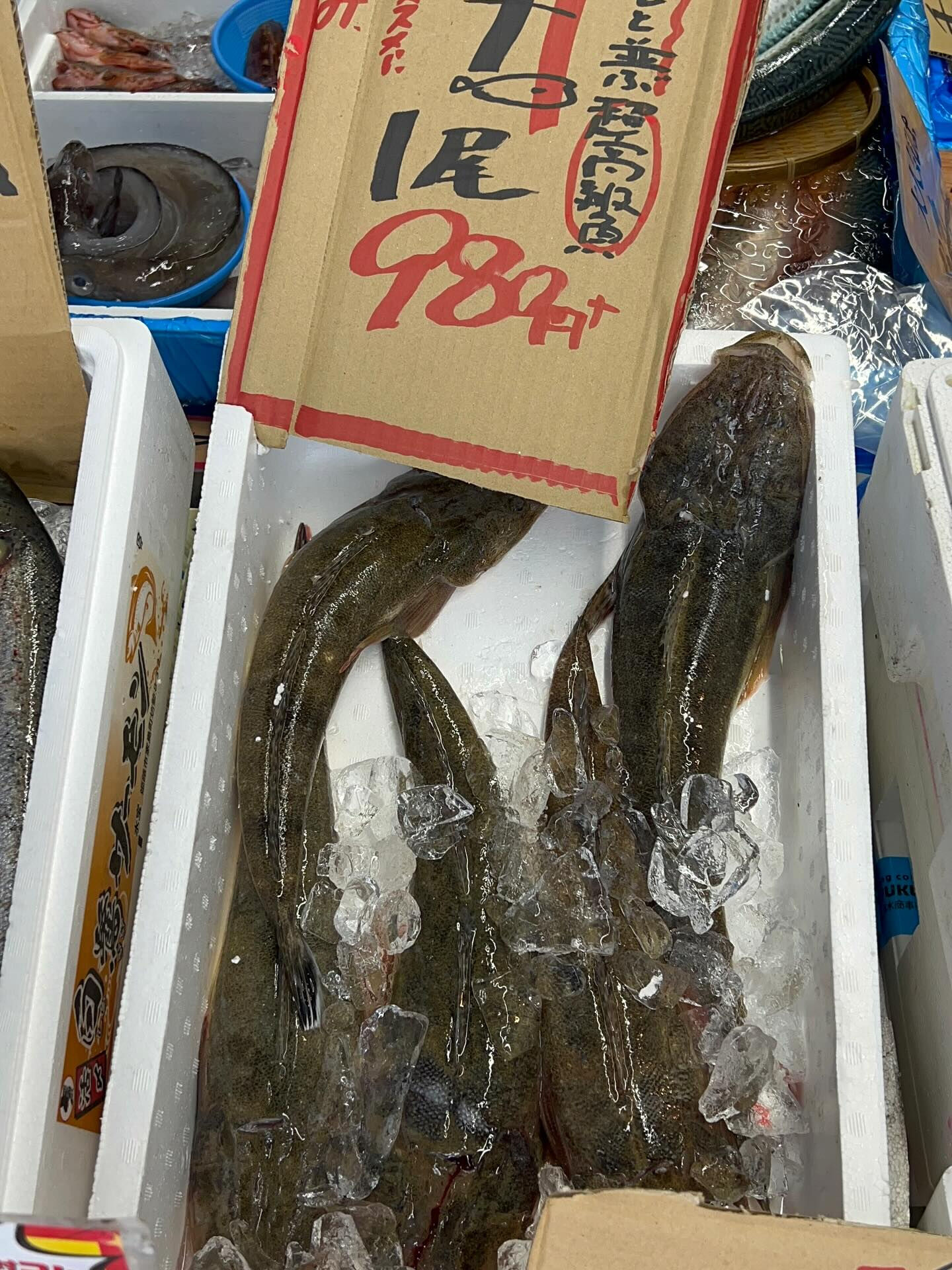 本日、木曜start🐟