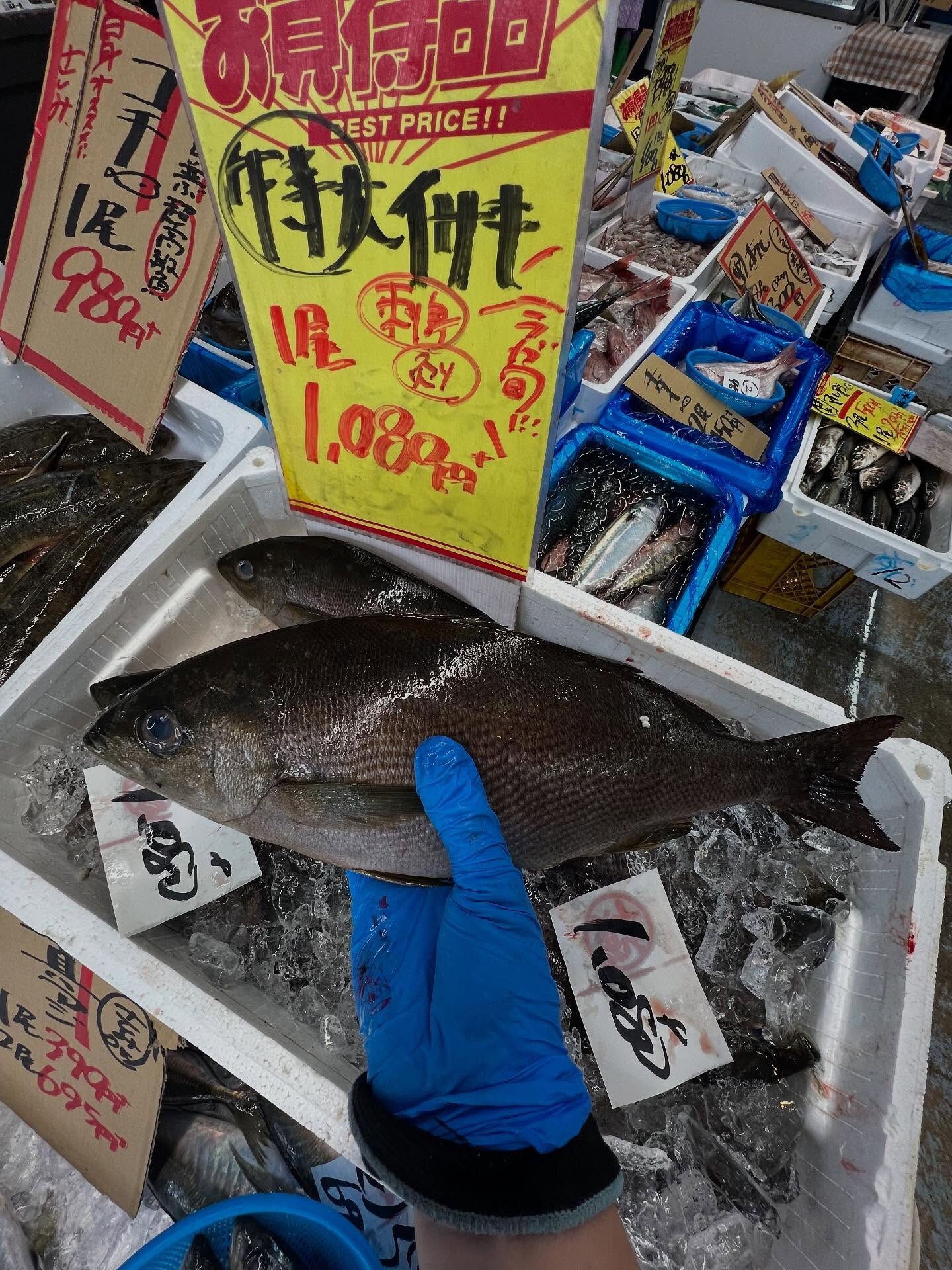 本日、木曜start🐟