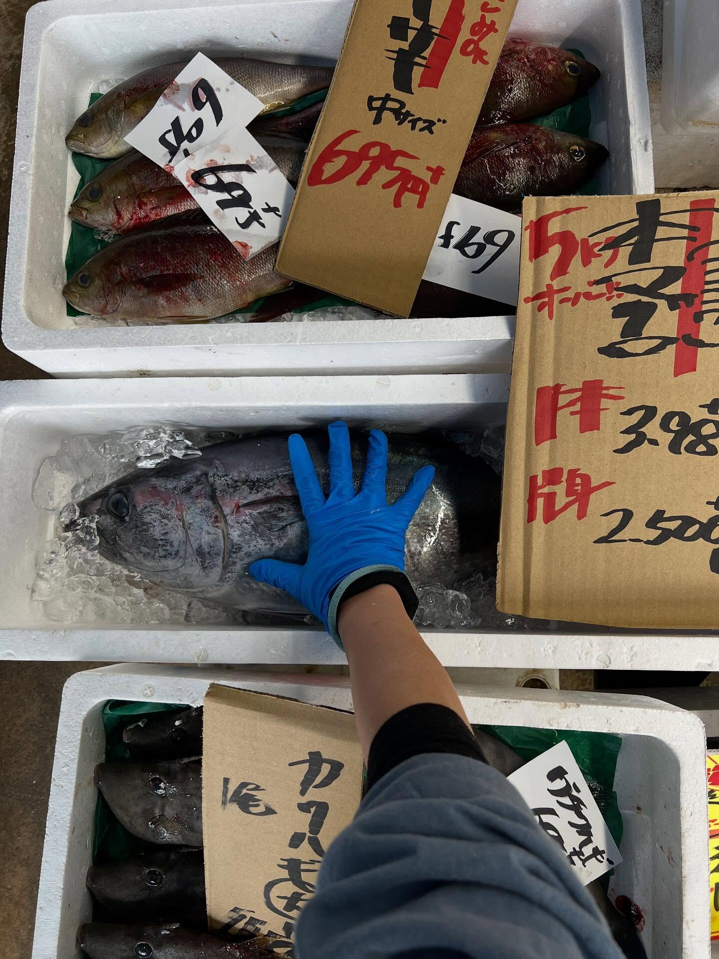 本日、木曜start🐟