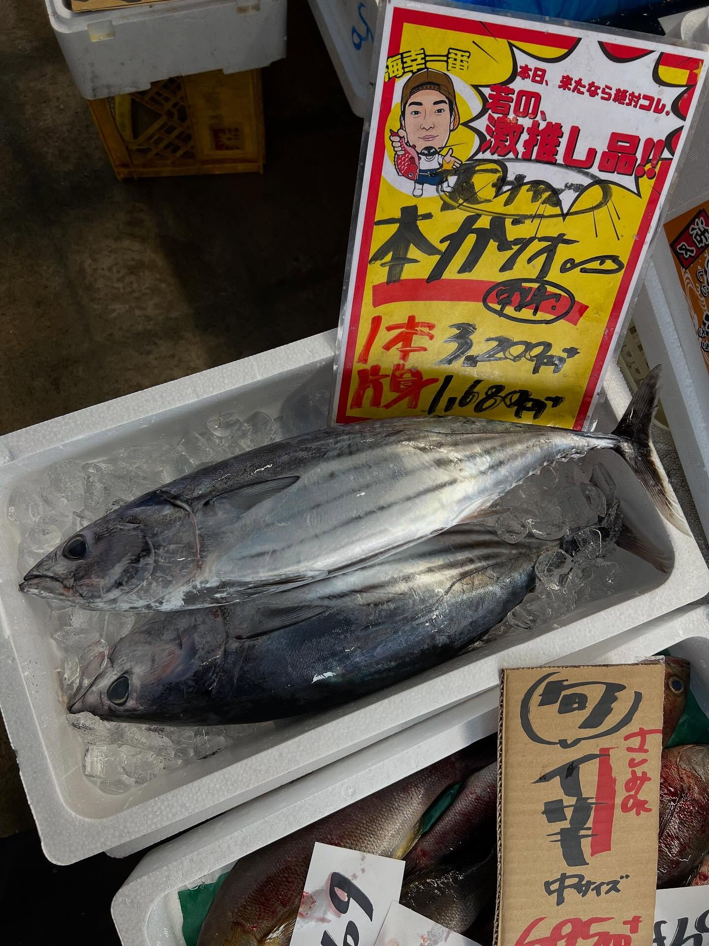 本日、木曜start🐟