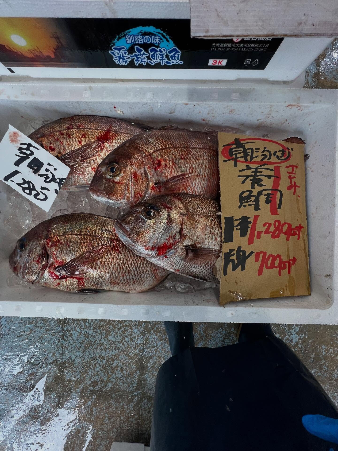 本日、木曜start🐟
