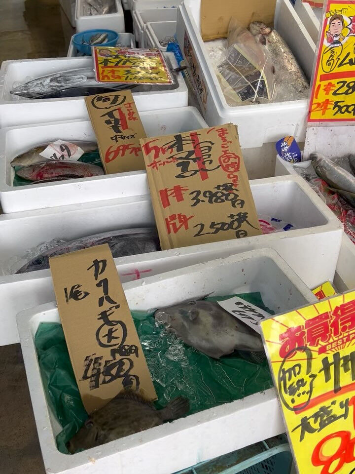 本日、木曜start🐟
