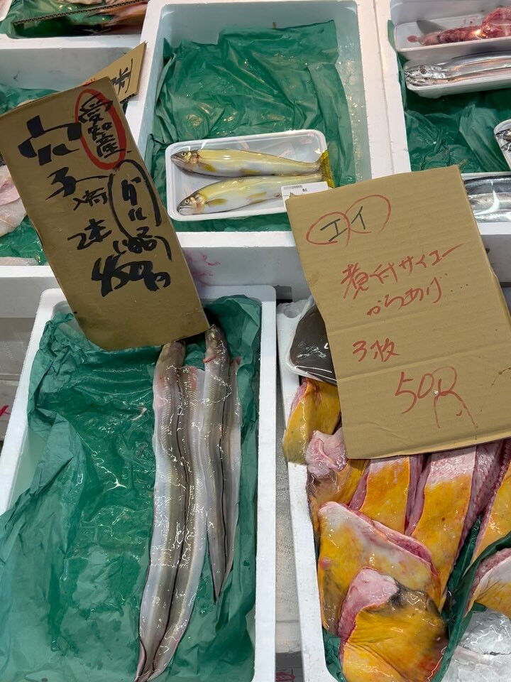 本日、木曜start🐟