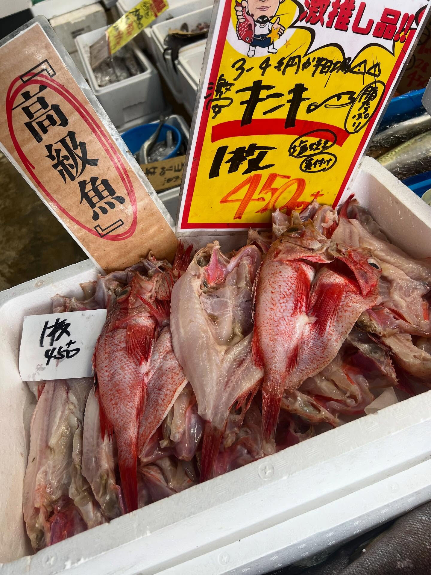 本日、金曜start🐟