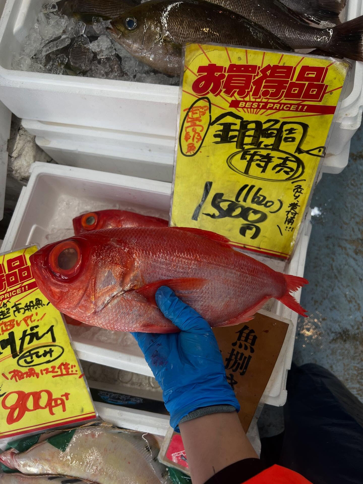 本日、金曜start🐟