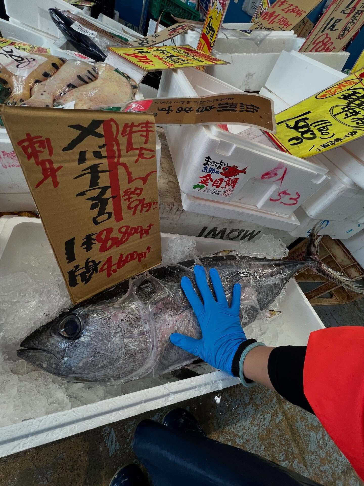 本日、金曜start🐟