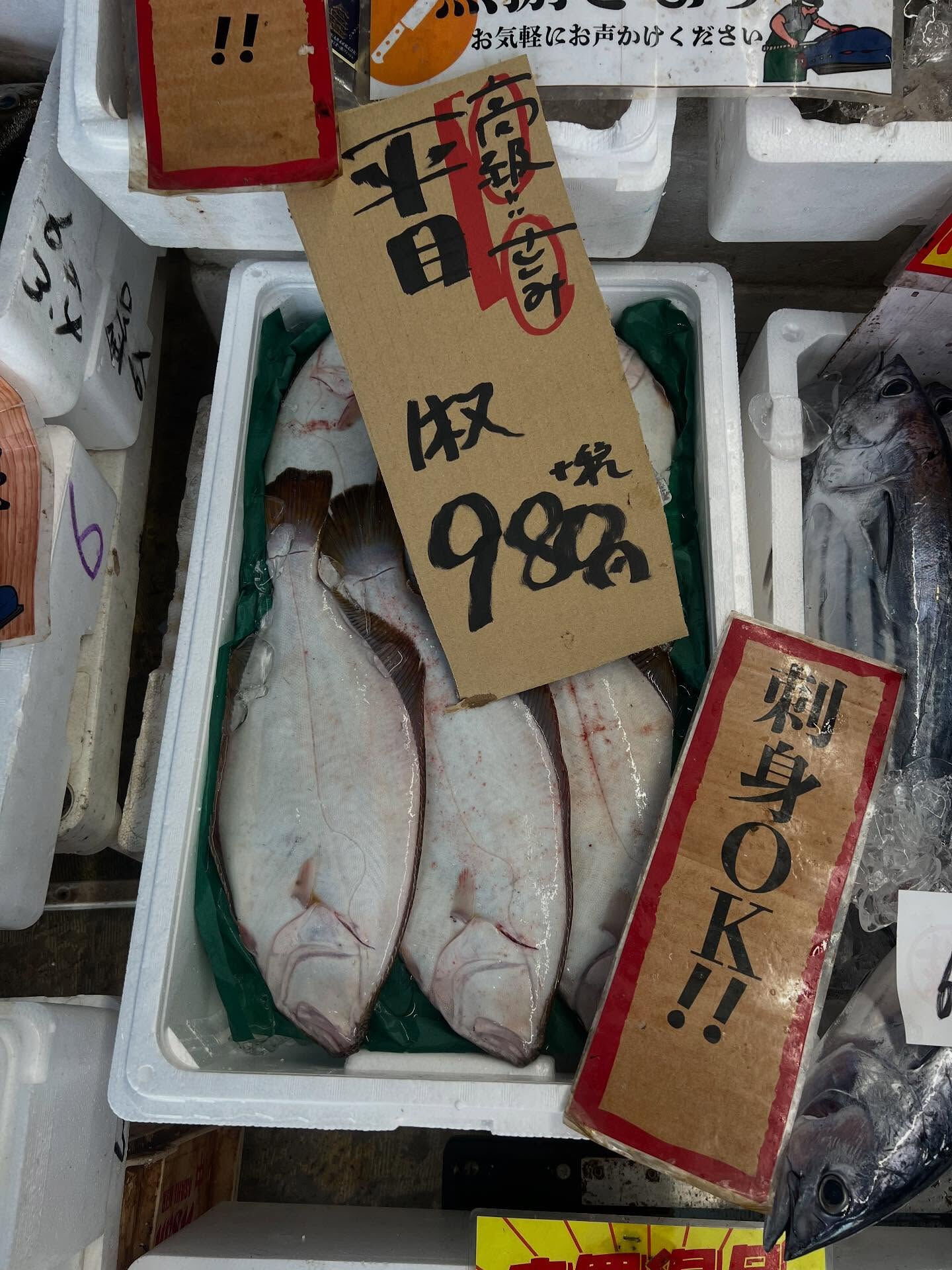 本日、金曜start🐟