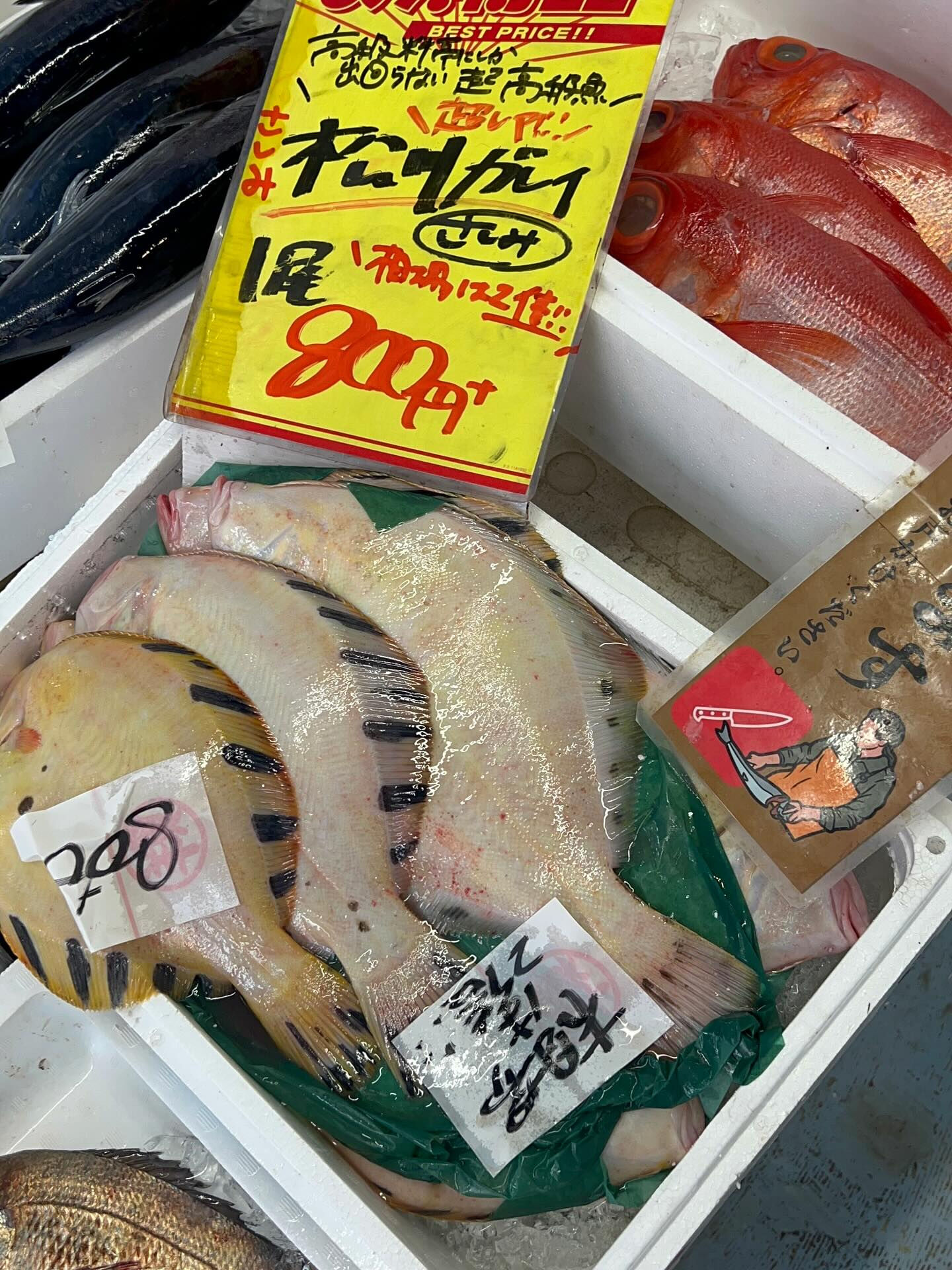 本日、金曜start🐟