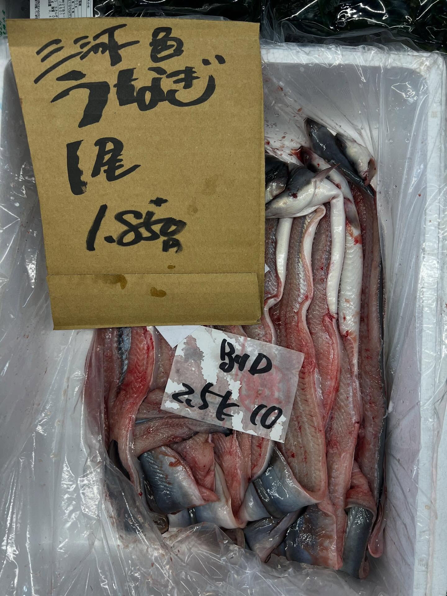 本日、金曜start🐟