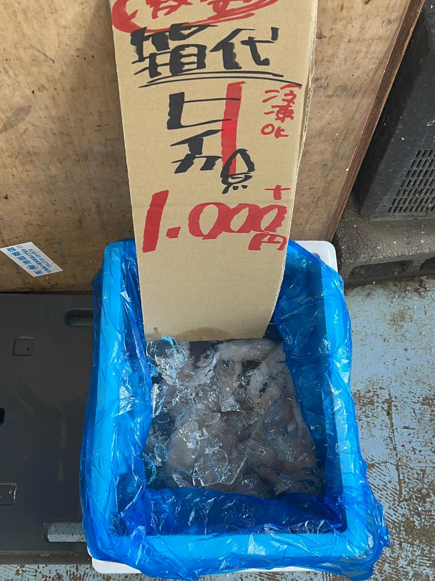 本日、金曜start🐟