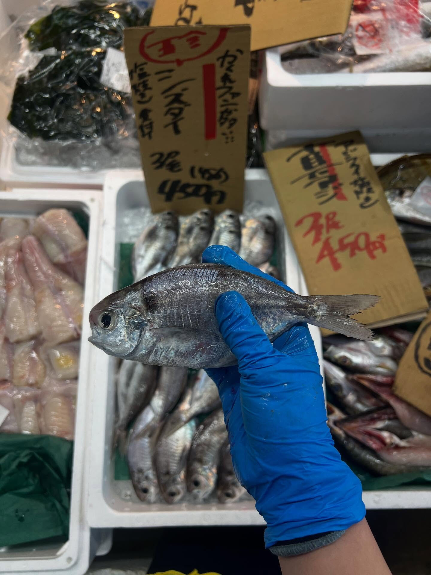 本日、金曜start🐟
