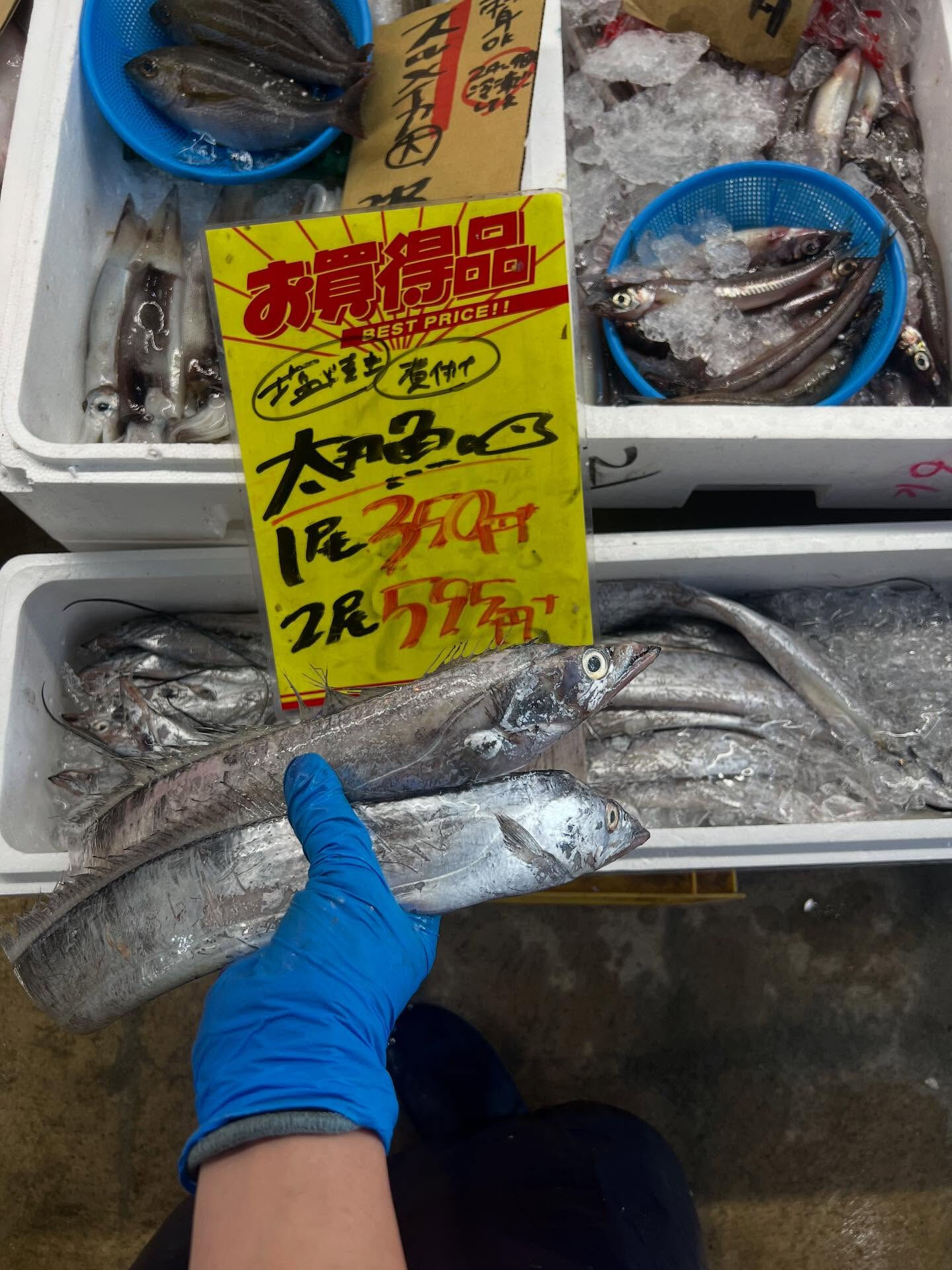 本日、金曜start🐟