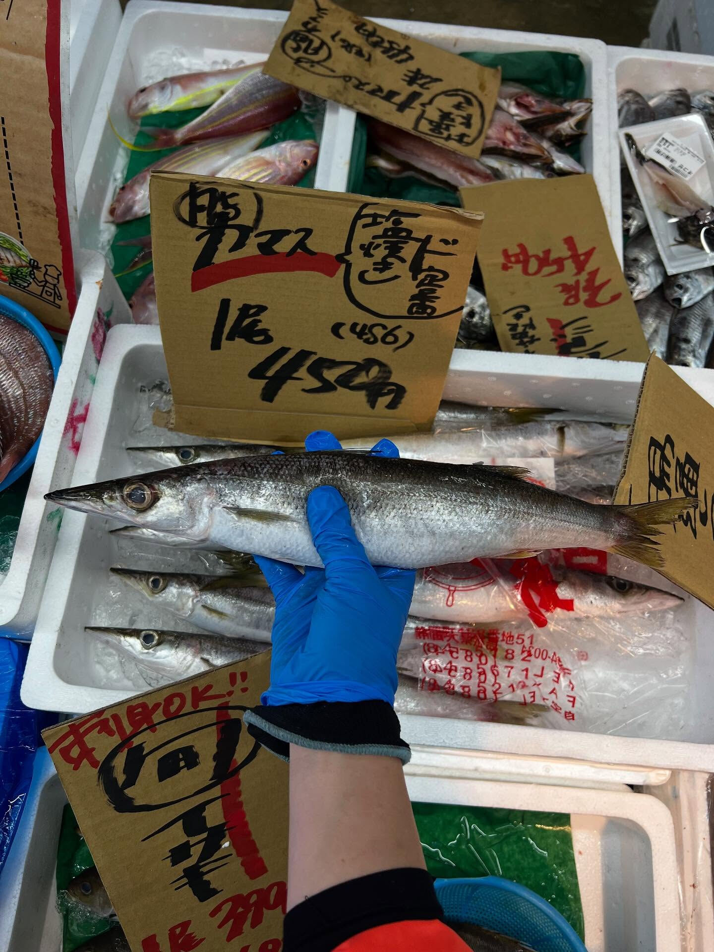 本日、金曜start🐟