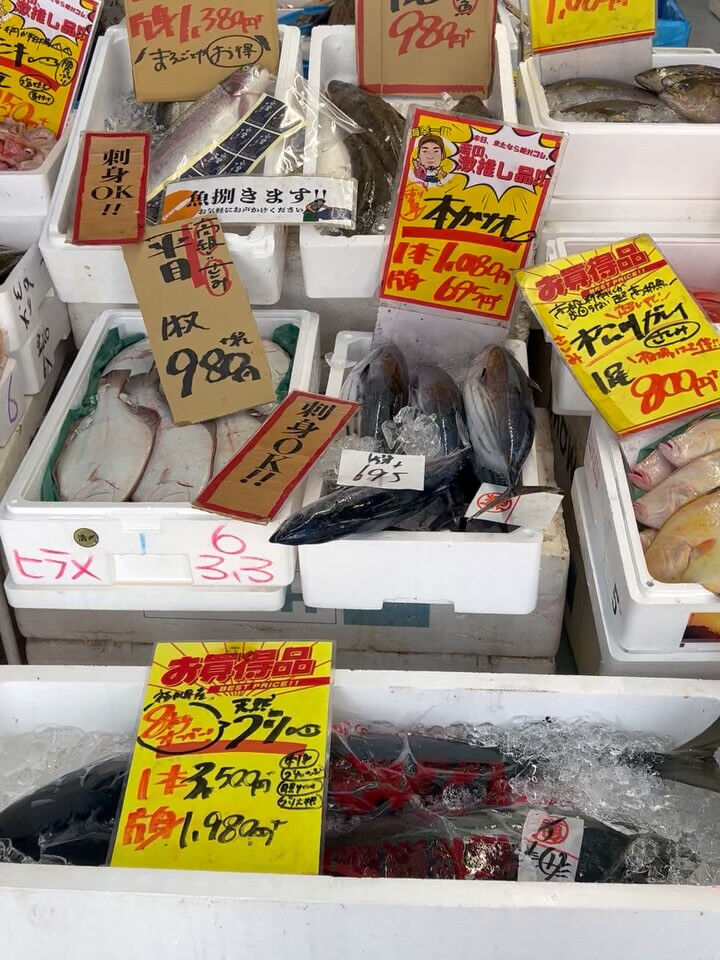 本日、金曜start🐟