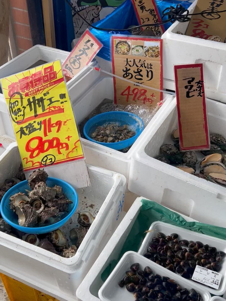 本日、金曜start🐟