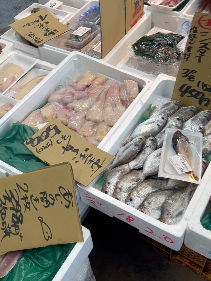 本日、金曜start🐟